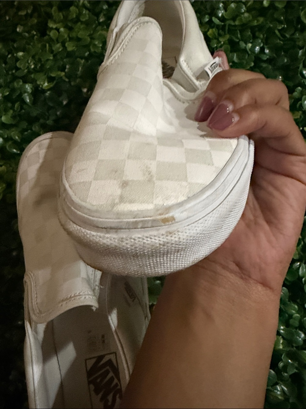 Vans - Picture 6 of 6